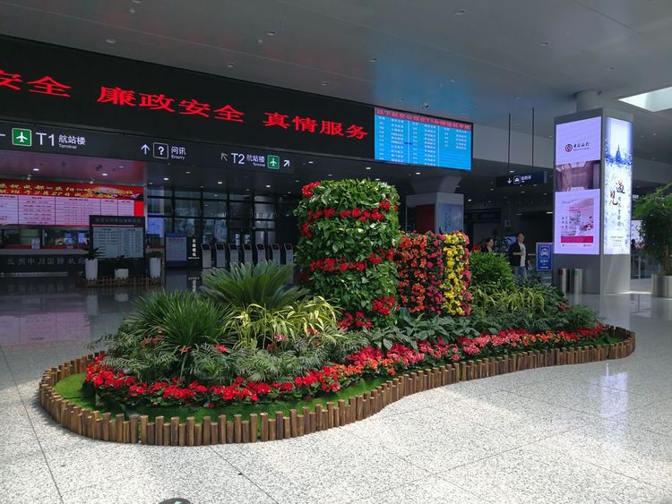 東城區辦公室和租擺綠植租賃園林綠化