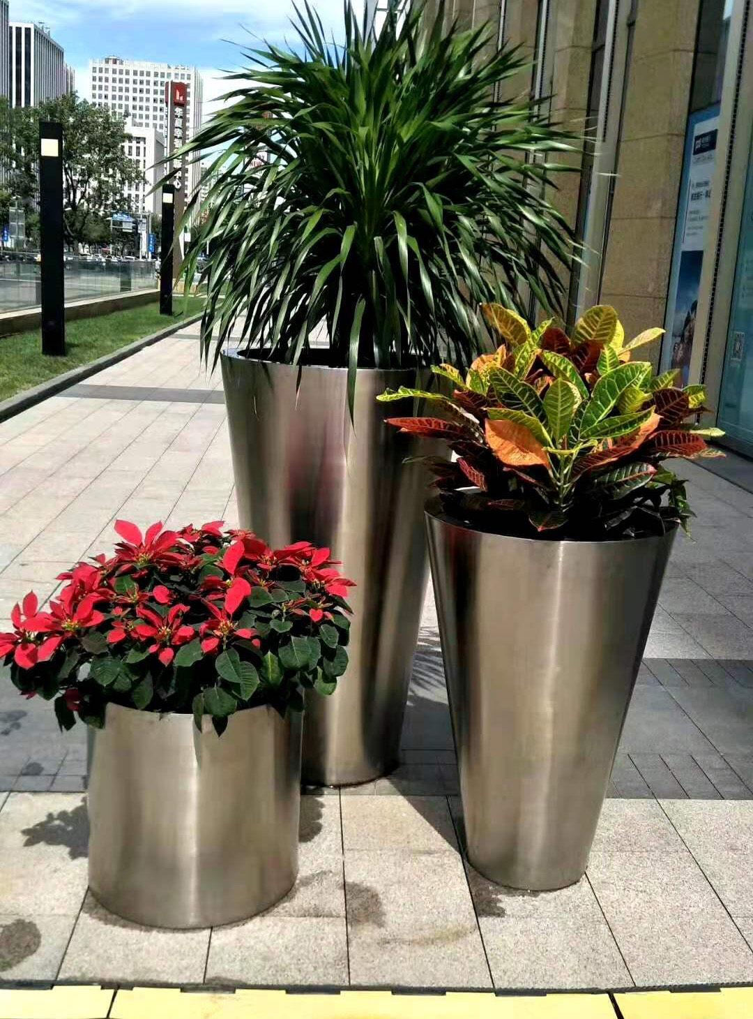 北京大興區上德中心綠植花卉租擺公司