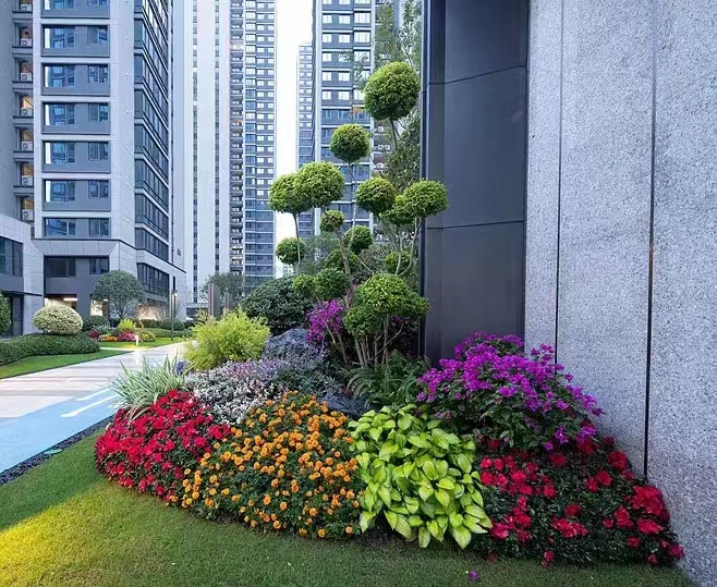 北京朝陽區綠植租賃公司