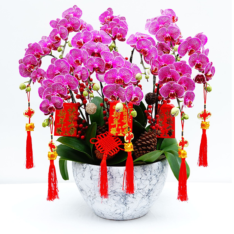 什么花卉開花時間比較長