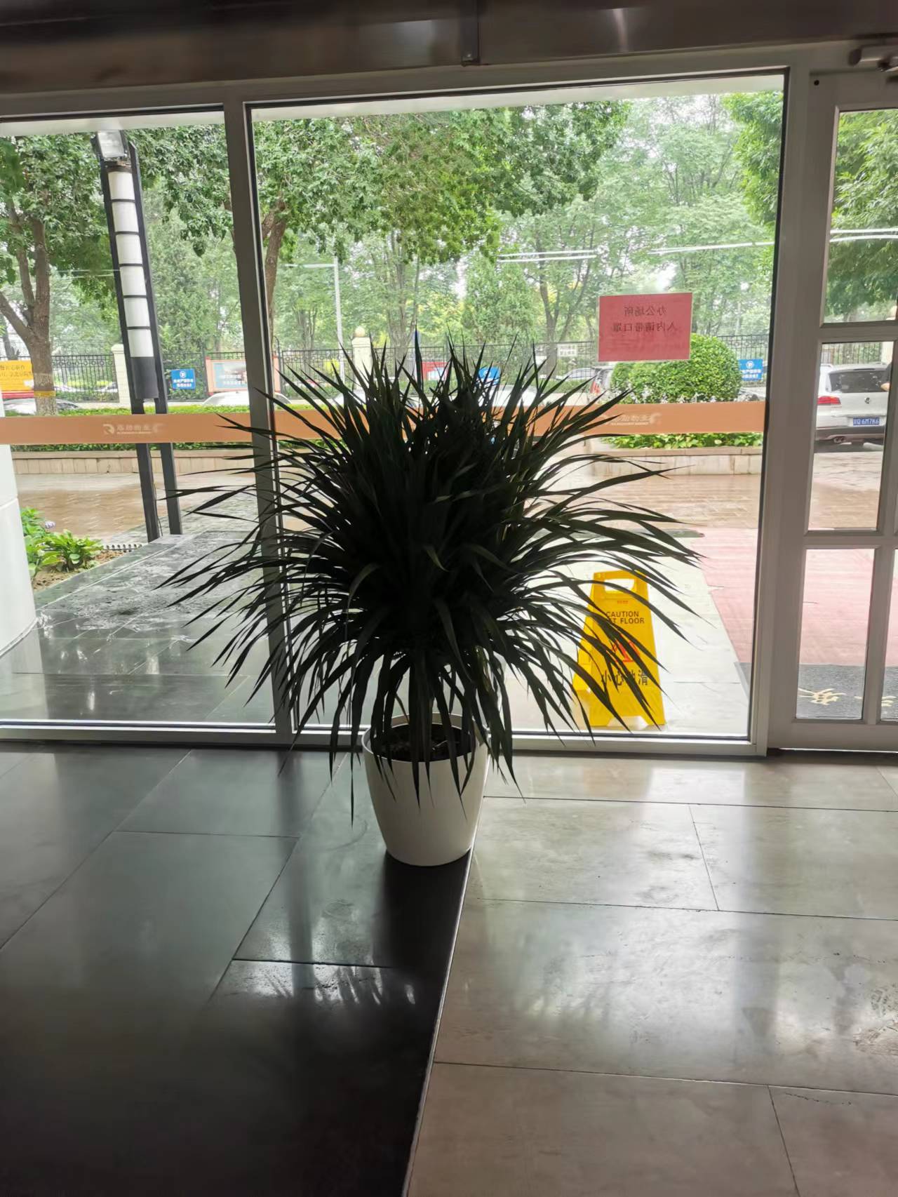 大興區物業-綠植租擺客戶