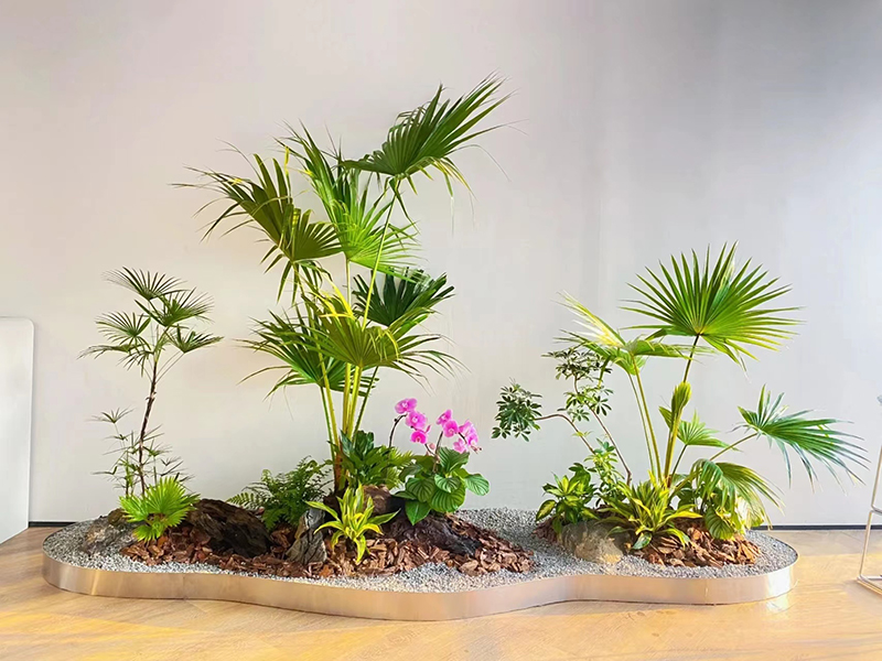 室內養好綠植的小總結