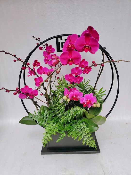 花卉租擺北京花卉租擺 北京地區花卉租擺公司