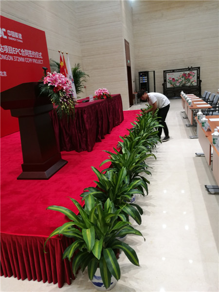 北京西城區綠植租擺西城區花卉租賃西城區花木銷售