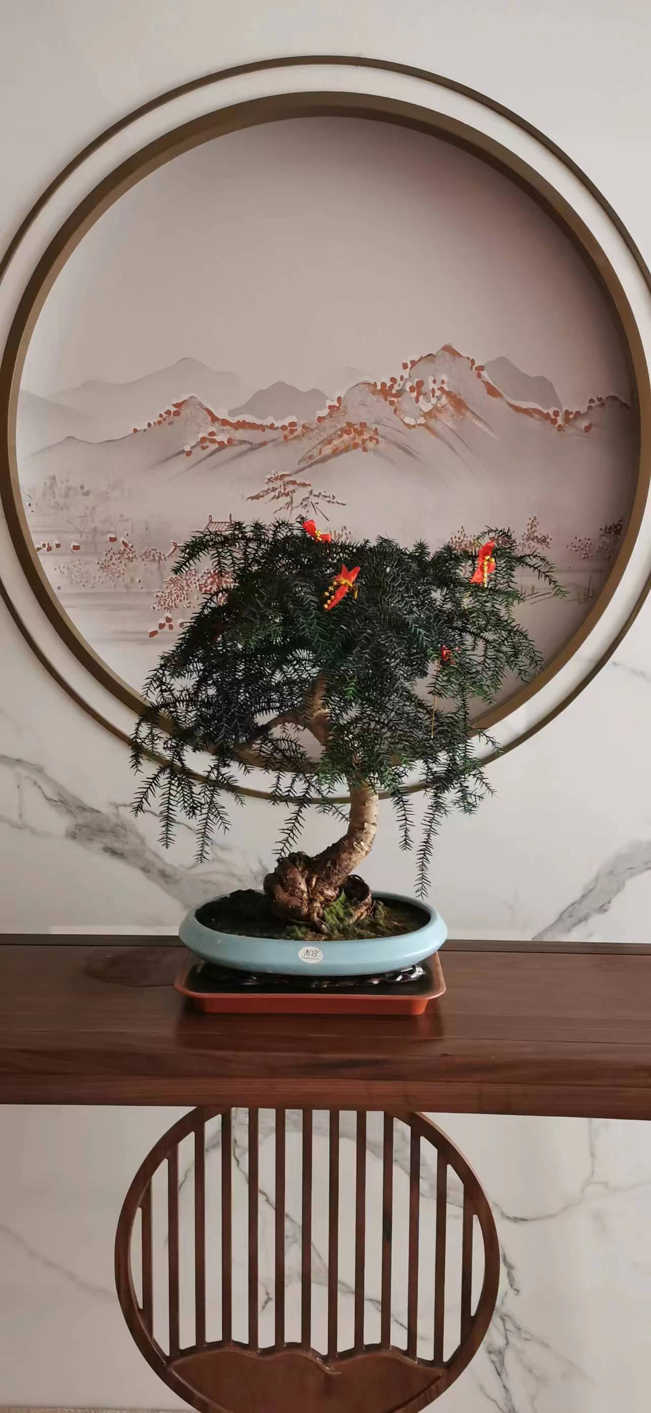 寫字樓綠植租賃花卉租擺朝陽區(qū)綠植租擺公司，